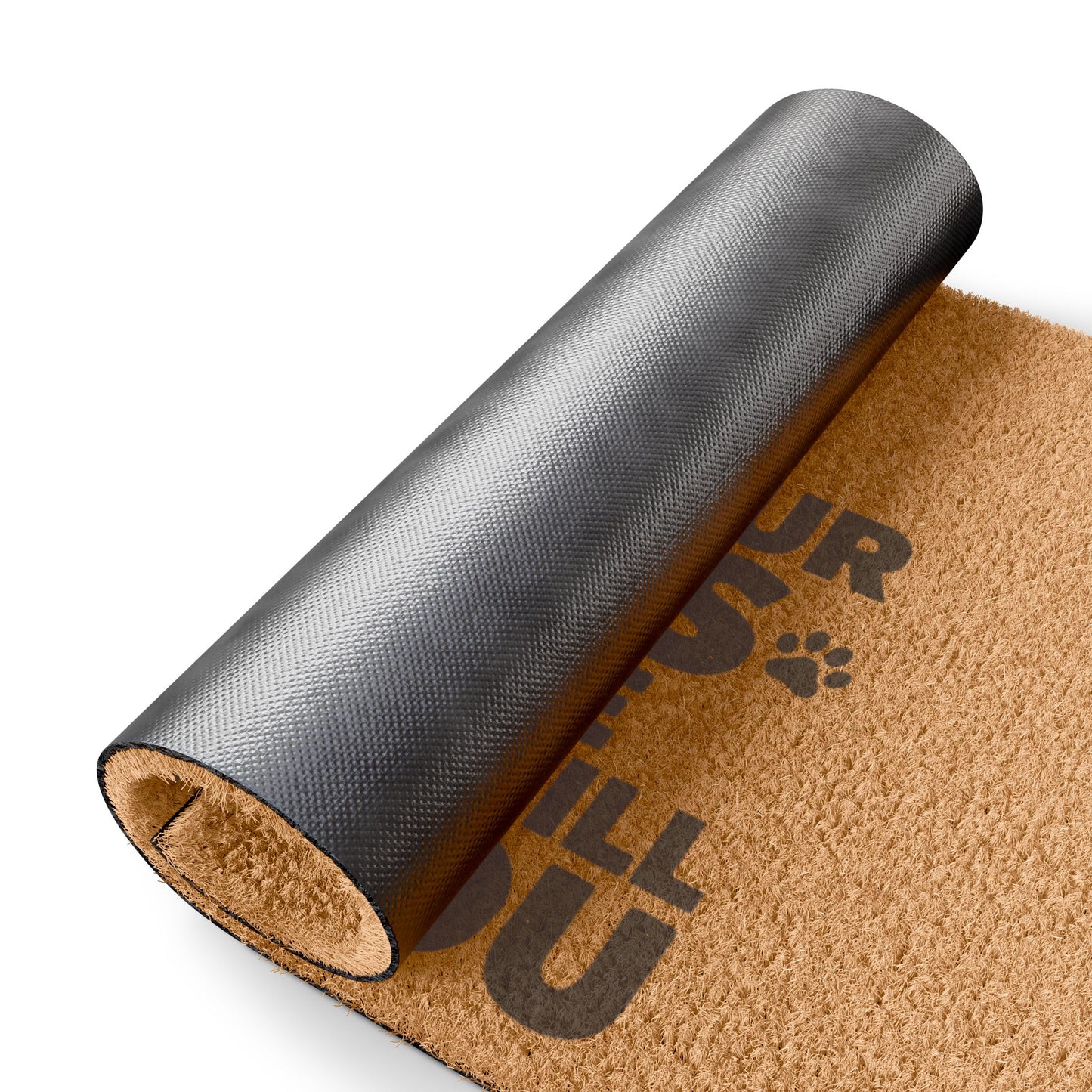 Doormat — "Wipe Your Paws or the Ghosts Will Get You" Funny Halloween Pet Welcome Mat